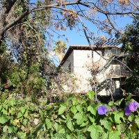 Частный дом :: Oleg4618 Шутченко