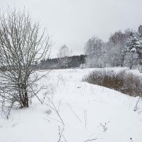 Апрельский снегопад :: Сергей Курников