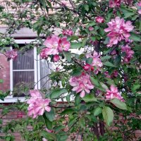 Весенние зарисовки :: Galina Solovova