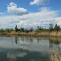 Местные виды. :: Виктор 