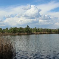 Вечер у Дона. :: Виктор Вечер у Дона. :: Виктор