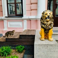 Ну, что за лев этот тигр!) И я, как вы понимаете, не о большом) :: Галина Бобкина