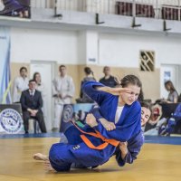 Динамика в статике :: Коля Лукашов