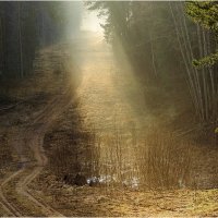 Весенний свет :: Валентин Котляров