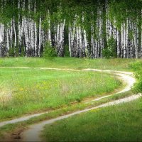 Весенний пейзаж... :: Владимир Шошин