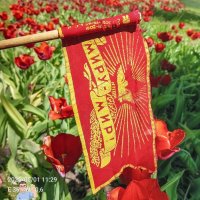 С 1 Мая! :: Игорь Сарапулов