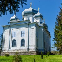 "-" :: Светлана Фокша