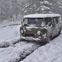 За подснежниками :: Роман Пацкевич