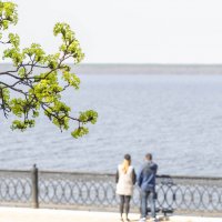 **** :: Игорь Николаев