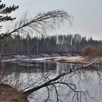 *** :: Владимир 