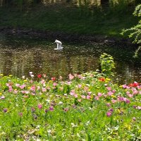 Полёт :: Фёдор Меркурьев Полёт :: Фёдор Меркурьев