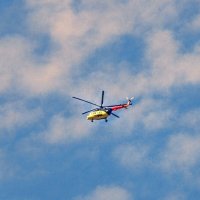 В небе летающий " триколор" ) :: Елена Хайдукова  ( Elena Fly )
