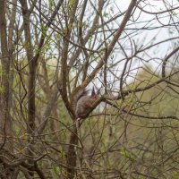 ___ :: Yuriy V ___ :: Yuriy V