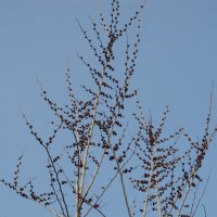 так начинался апрель :: Елена Шаламова так начинался апрель :: Елена Шаламова