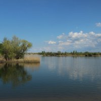 Донские зарисовки. :: Виктор 