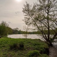 В апреле... :: Николай Гирш В апреле... :: Николай Гирш