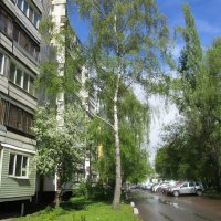 Городской пейзаж. :: Ольга Довженко Городской пейзаж. :: Ольга Довженко