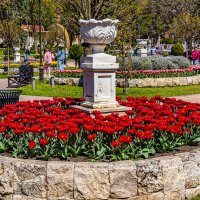 *** :: Дмитрий Лупандин