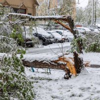 Май нахулиганил. :: Анатолий. Chesnavik.