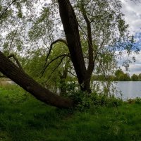 *** :: Николай Гирш