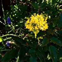 Весенние зарисовки 112 :: Алексей Кузнецов