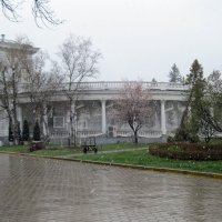 Серый день :: Galina Solovova