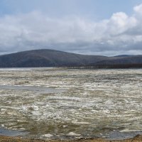 Весенний Амур. :: Виктор Иванович Чернюк