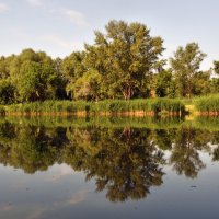 Утро на озере :: Сергей М 