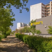 Аллея :: Анатолий Чикчирный