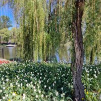 ,,, :: Сергей Тимоновский ,,, :: Сергей Тимоновский