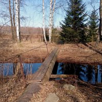Река Трестьянка у деревни Шишкино :: Алексей Р.