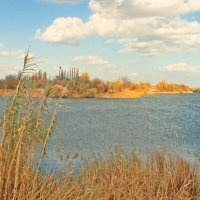 *** :: Яна Горбунова