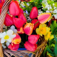 Майский букет :: Галина Бобкина Майский букет :: Галина Бобкина