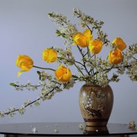 Майский этюд :: Olenka 