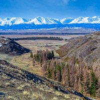 Вид с Курая на Северо-Чуйский хребет. :: Евгений Голубев