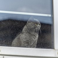 Скучно :: Валерий Иванович