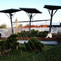 ПРО Екатеринбург :: Елена Шаламова