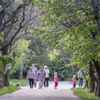Кленовая  аллея в сказочном саду :: Валентин Семчишин