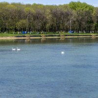 Городское водохранилище :: Игорь Сикорский