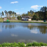 Московская область. г. Пушкино. Осетровая ферма. :: Наташа *****