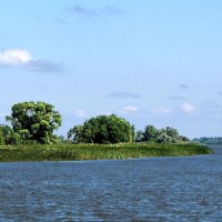 Вид на Волгу (Куйбышевское водохранилище) от Туристического причала Болгары :: Александр Ильчевский 