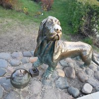 Такса) :: Митяй Митрич