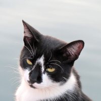 Фотомодель :: Валерий 