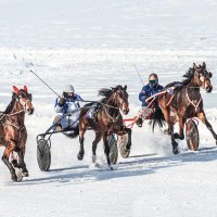 Бега :: SanSan 