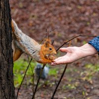 связь с природой :: Дмитрий Лупандин