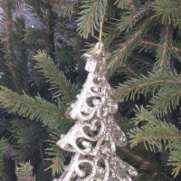 На ёлке ёлка со звездой :: Дмитрий Никитин