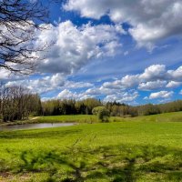 Spring 2025 1m :: Arturs Ancans