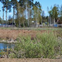 Московская область. г. Пушкино. Осетровая ферма. :: Наташа *****