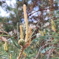 ,,, :: Сергей Тимоновский ,,, :: Сергей Тимоновский