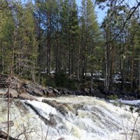 Колвицкие водопады :: Ольга 
